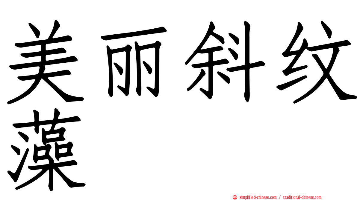 美丽斜纹藻