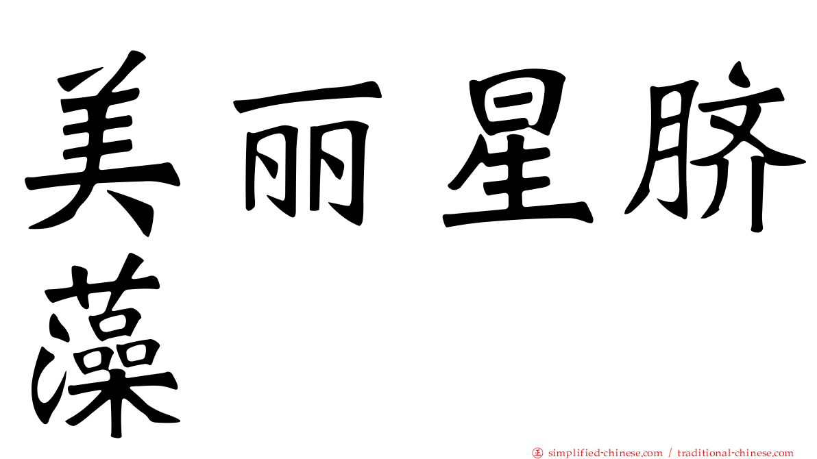美丽星脐藻