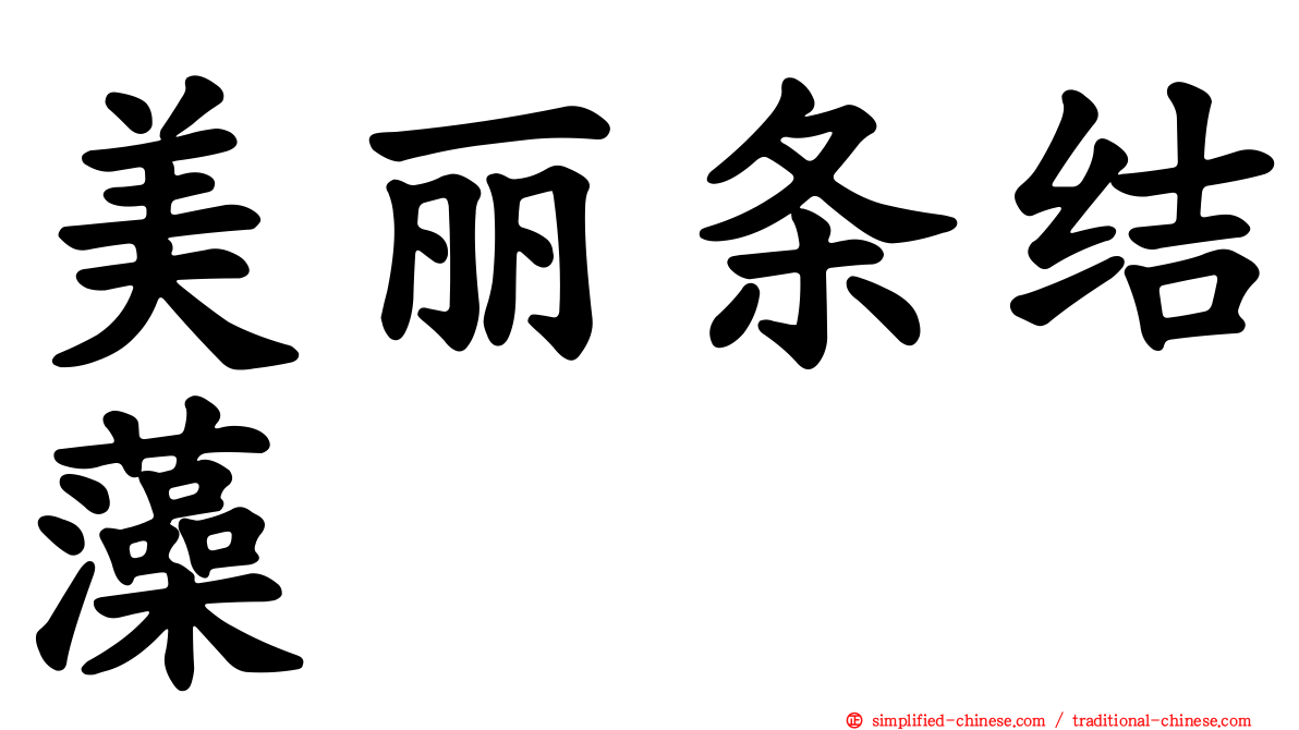 美丽条结藻
