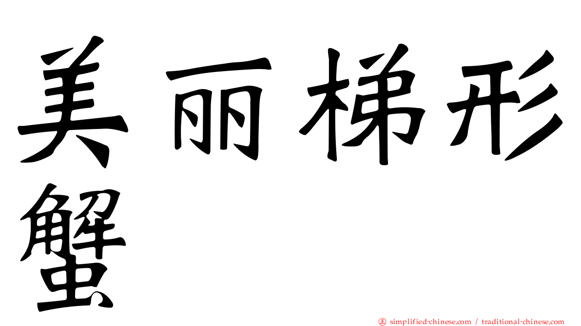 美丽梯形蟹