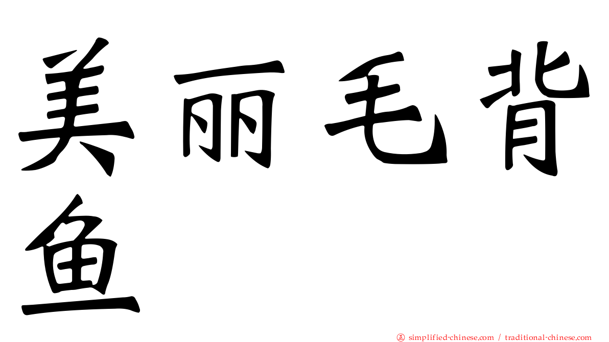 美丽毛背鱼