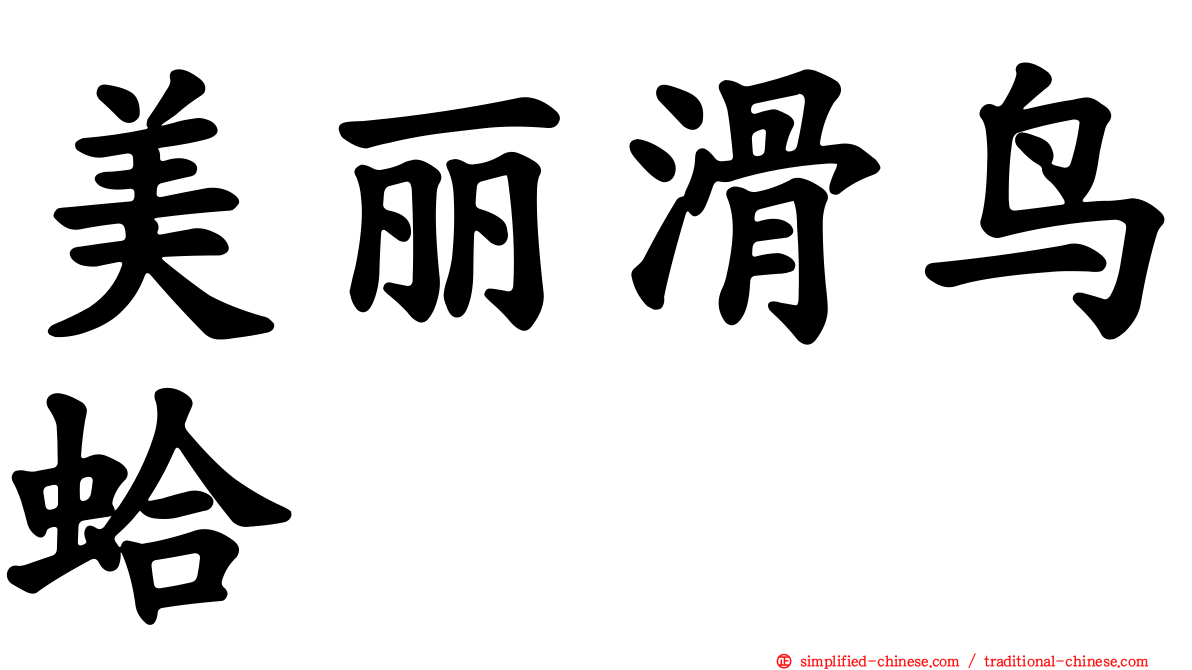 美丽滑鸟蛤