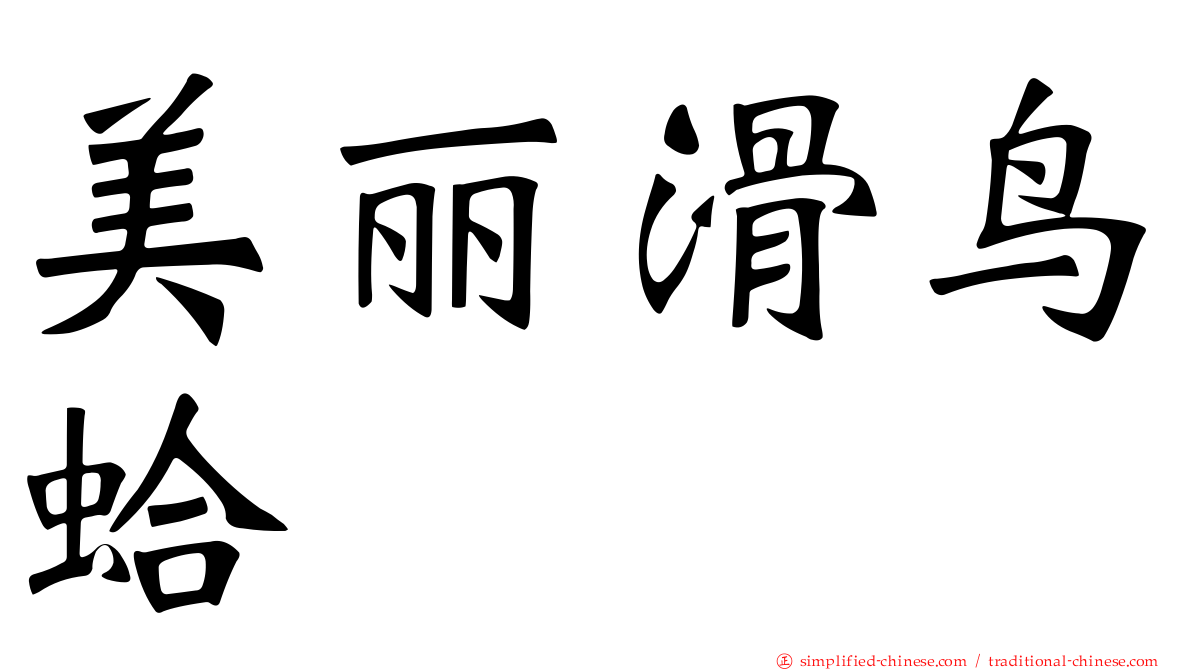 美丽滑鸟蛤