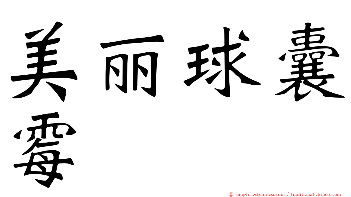 美丽球囊霉