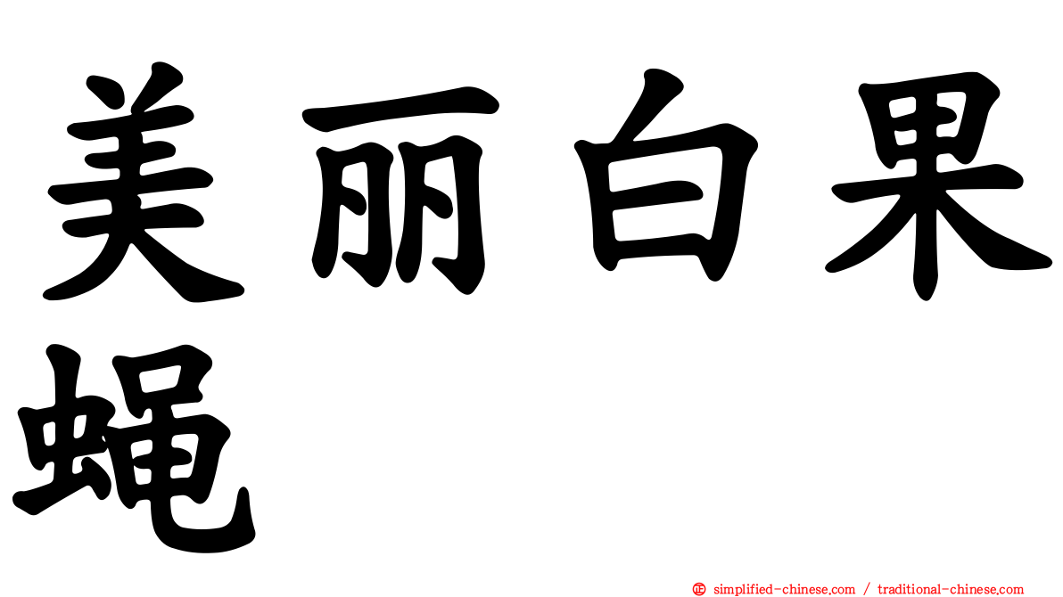 美丽白果蝇