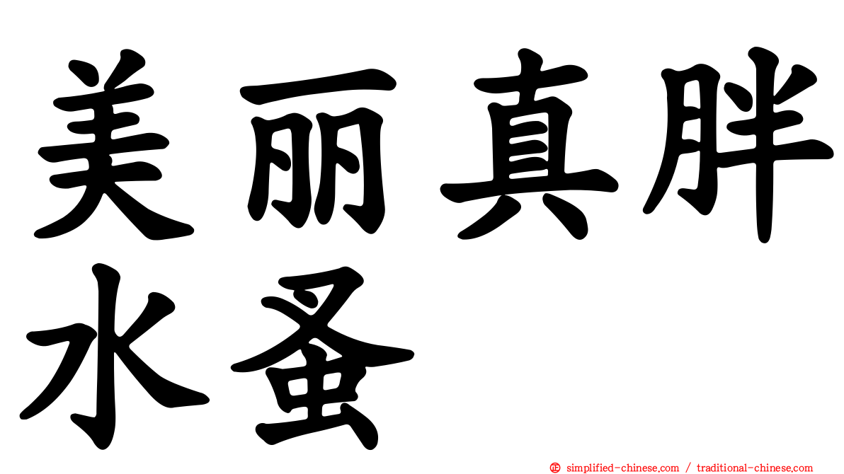 美丽真胖水蚤