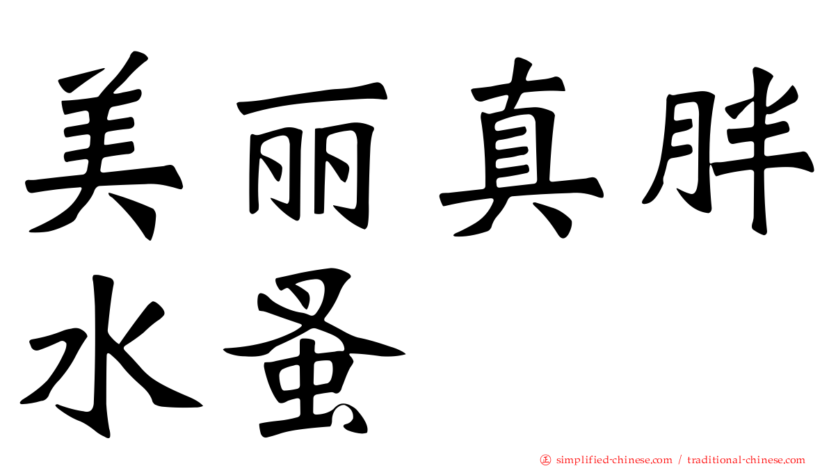 美丽真胖水蚤