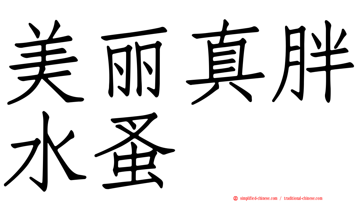 美丽真胖水蚤