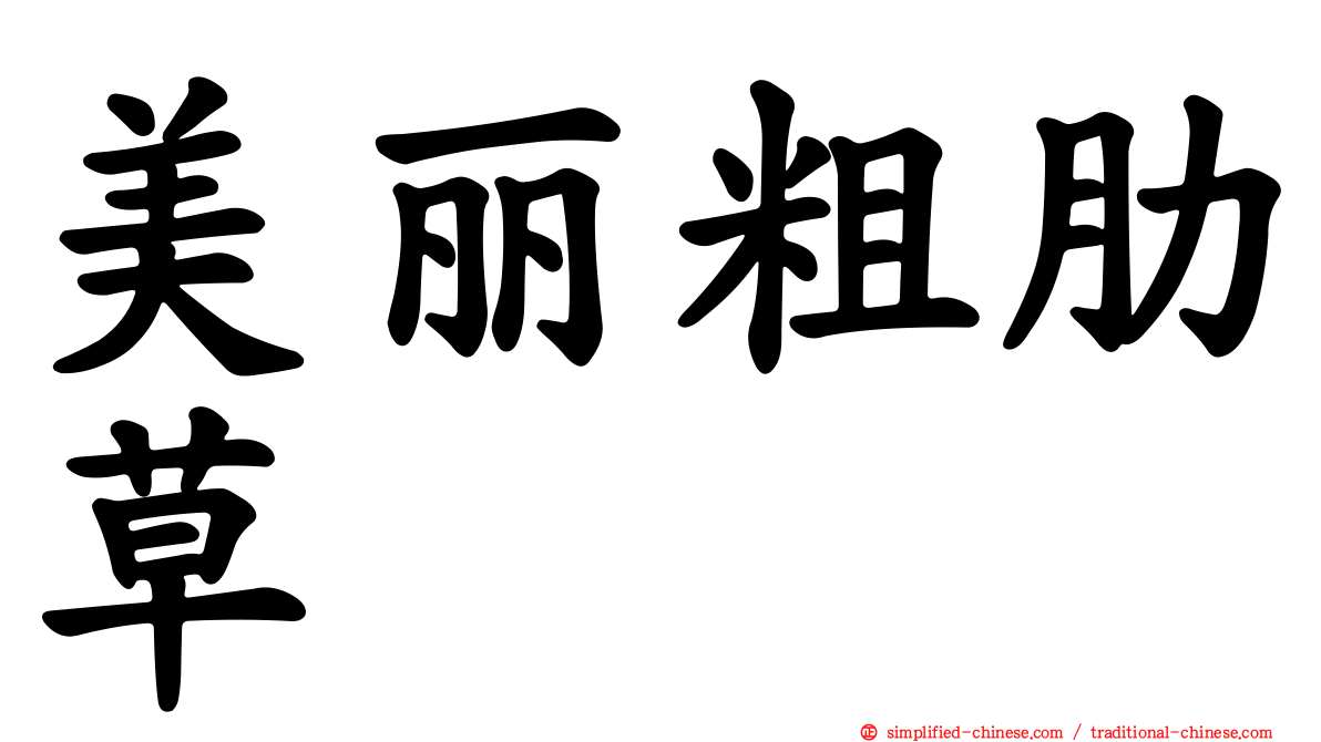 美丽粗肋草
