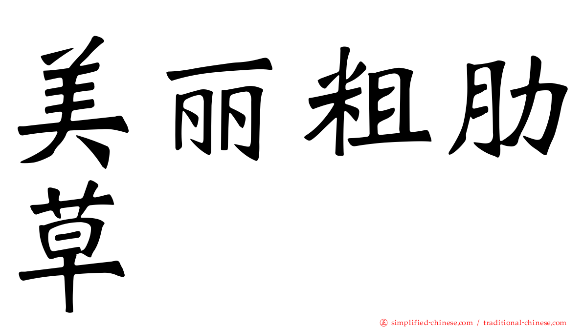美丽粗肋草