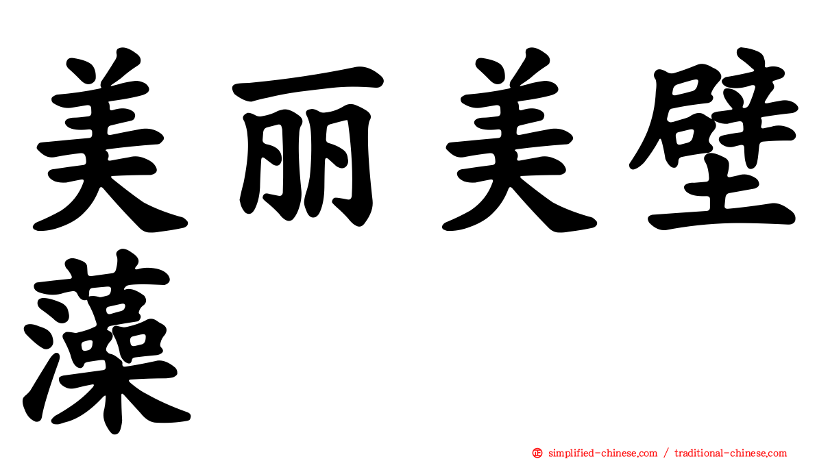 美丽美壁藻