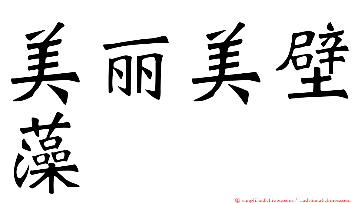 美丽美壁藻