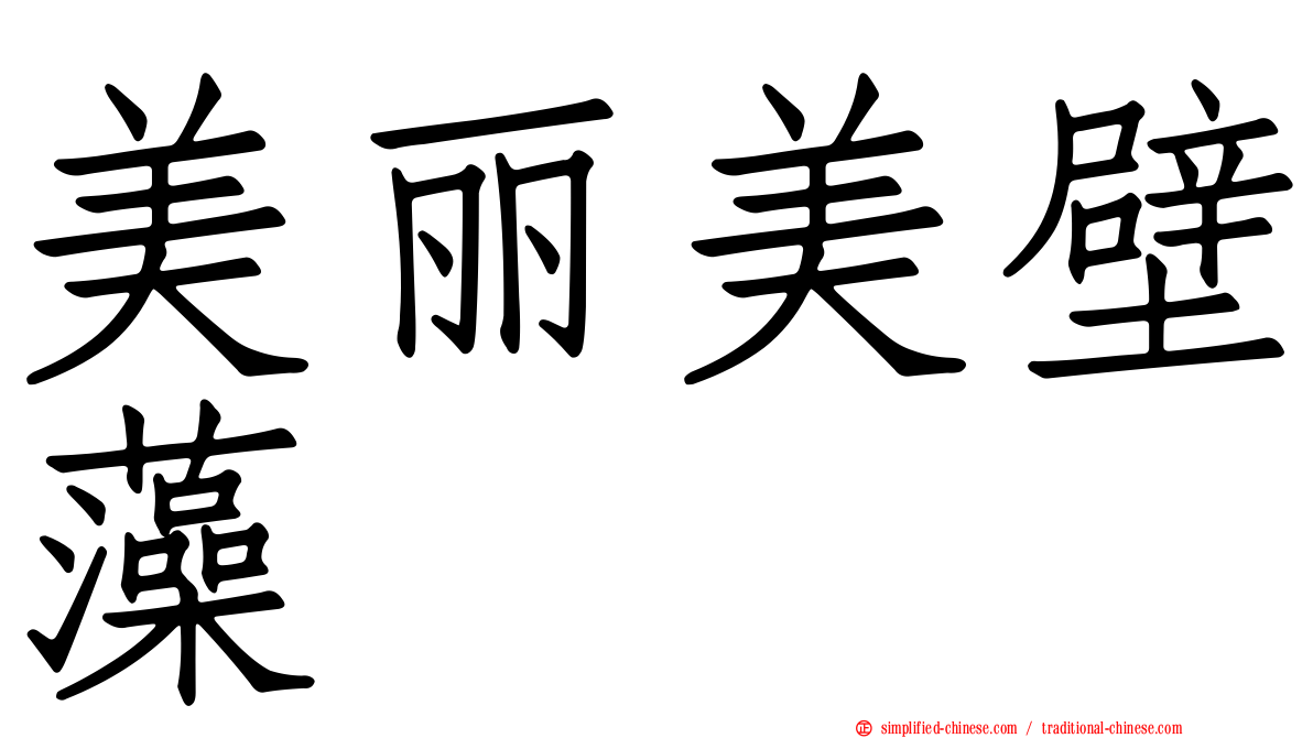 美丽美壁藻