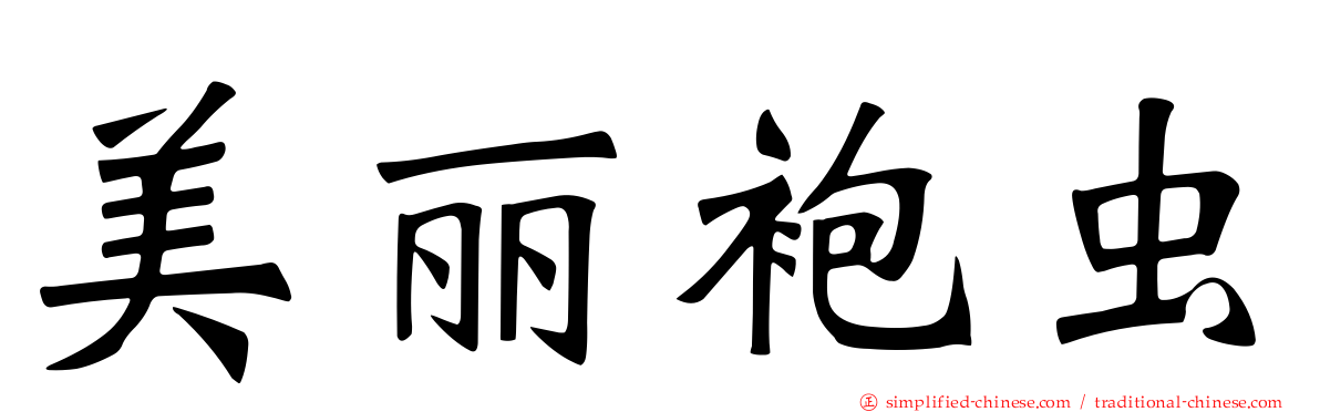 美丽袍虫
