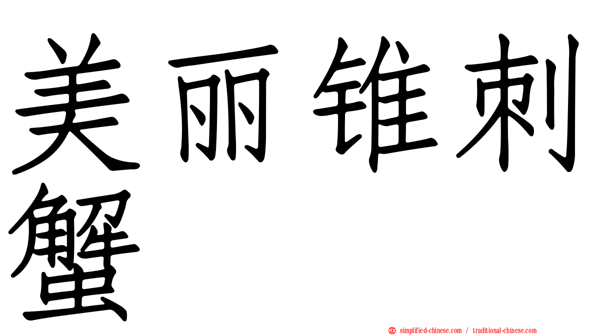 美丽锥刺蟹