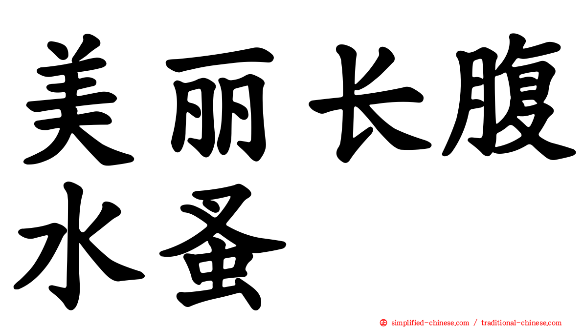 美丽长腹水蚤
