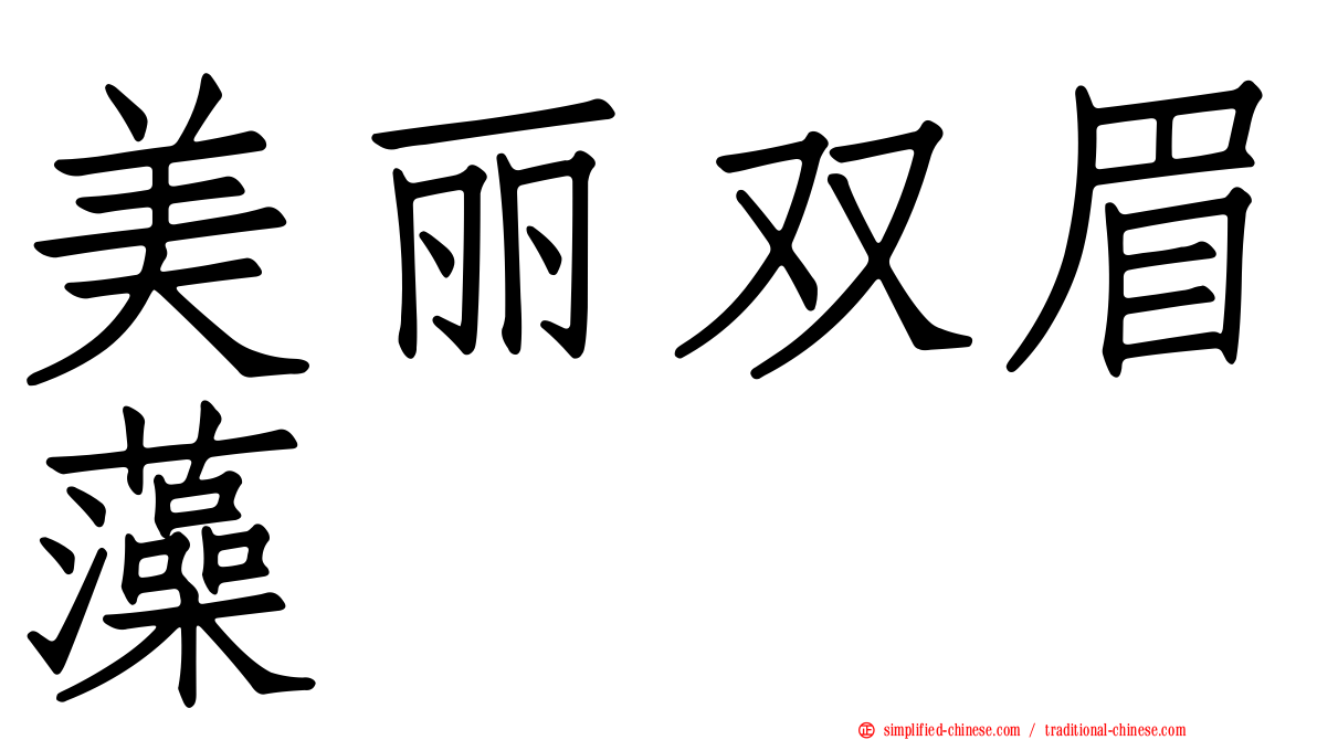 美丽双眉藻