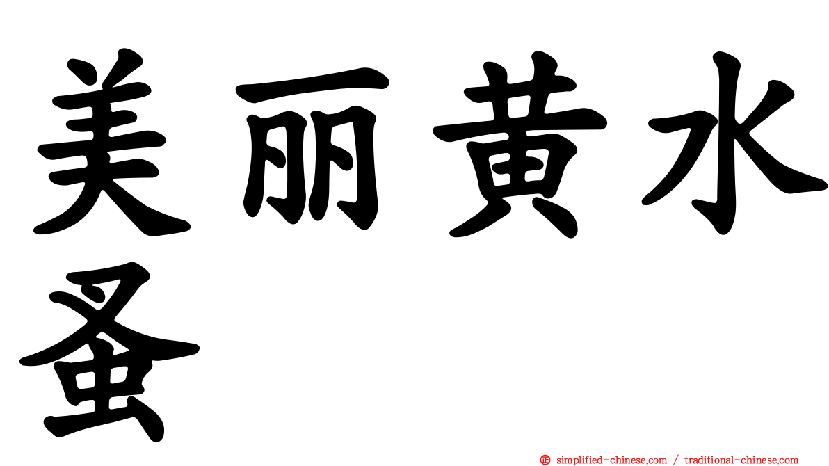 美丽黄水蚤