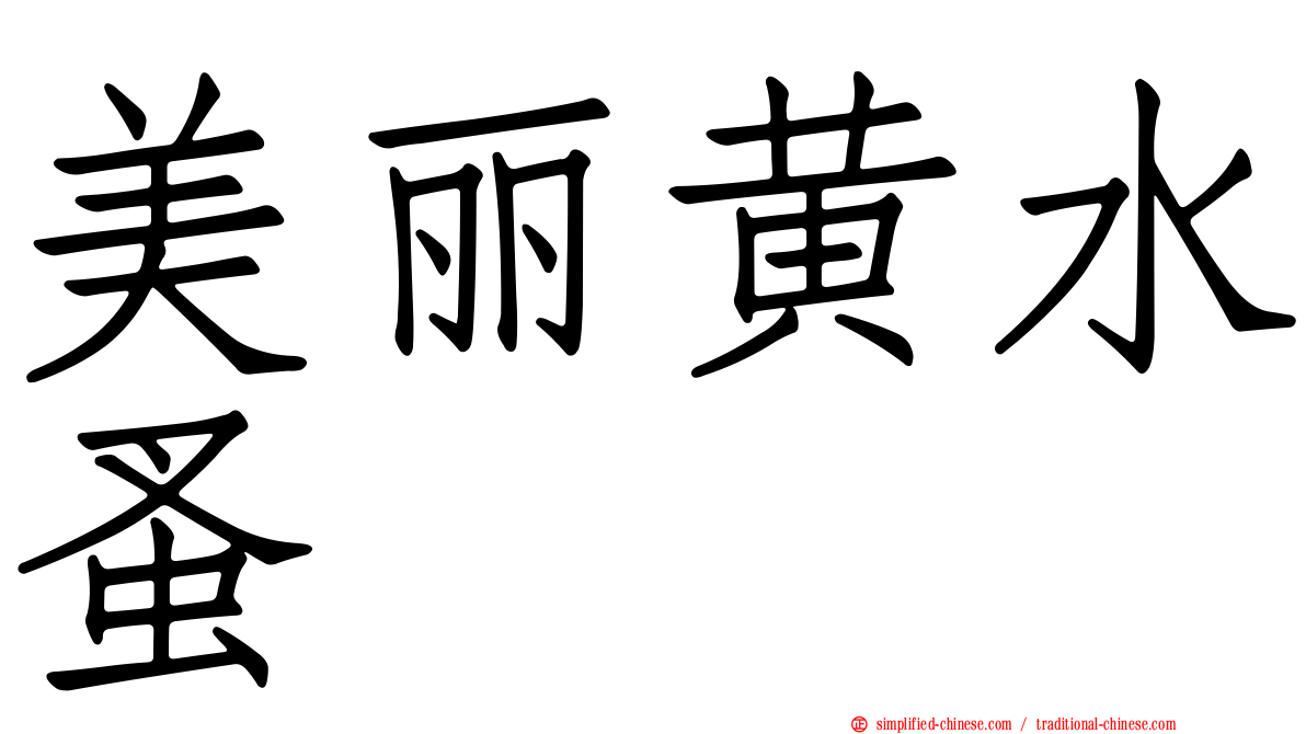 美丽黄水蚤