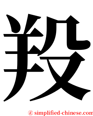 羖 serif font