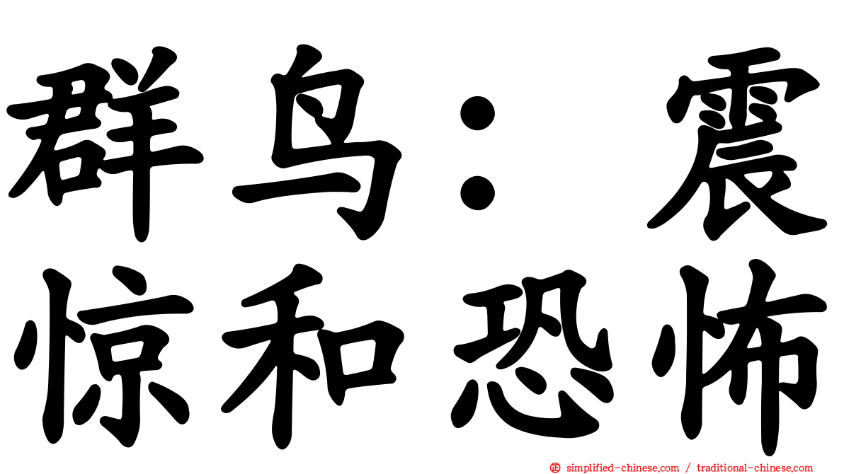 群鸟：震惊和恐怖