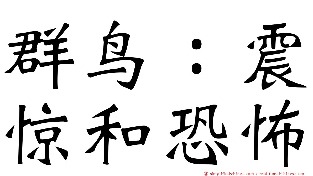 群鸟：震惊和恐怖