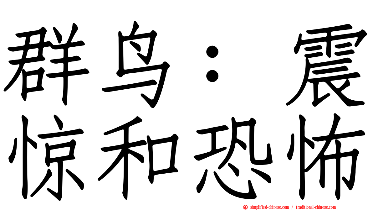群鸟：震惊和恐怖