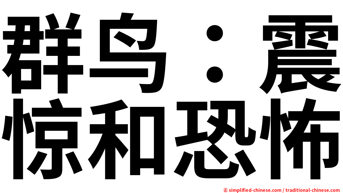 群鸟：震惊和恐怖