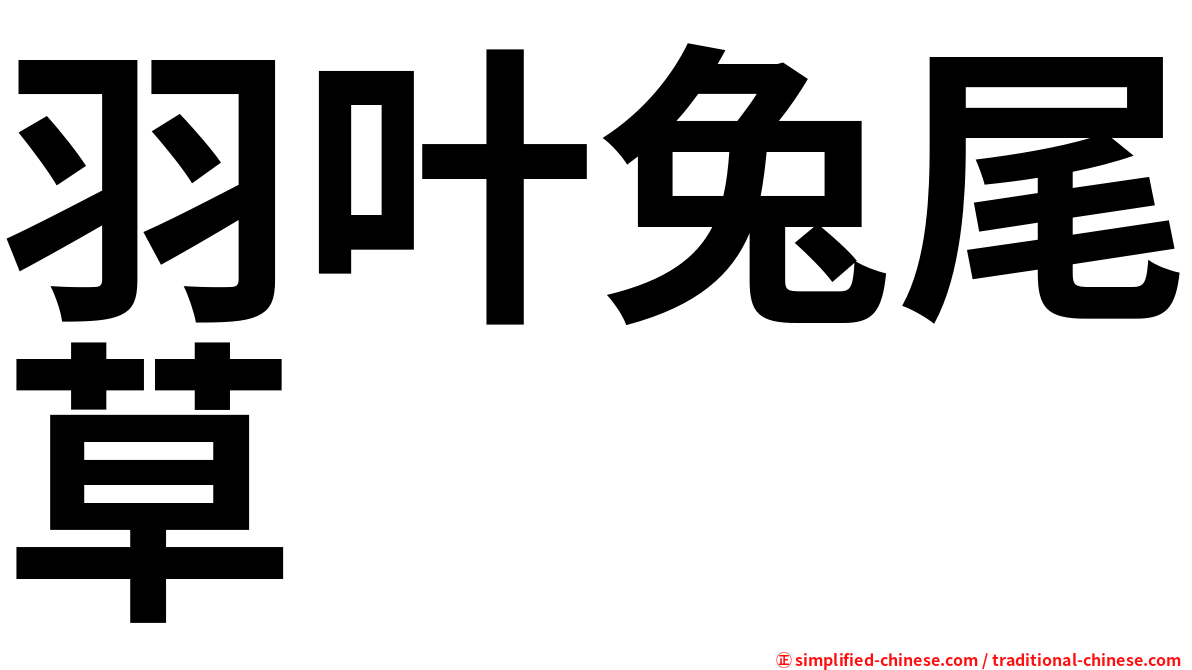 羽叶兔尾草