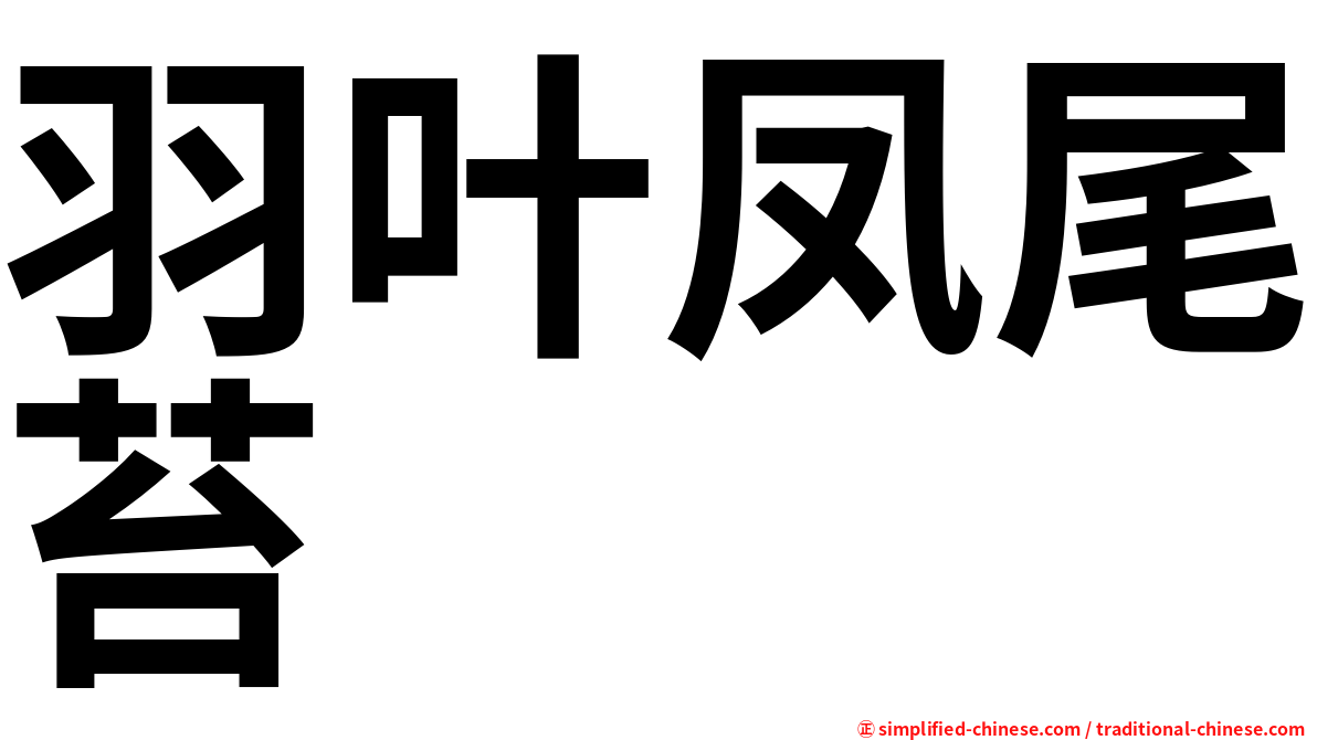 羽叶凤尾苔