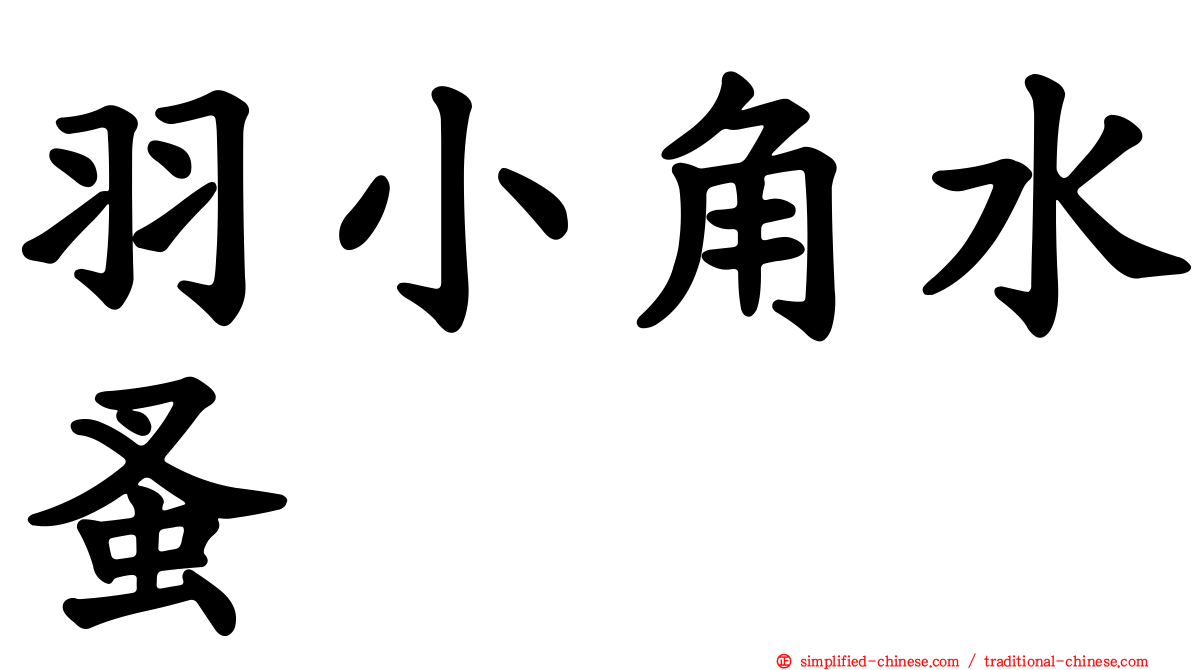 羽小角水蚤