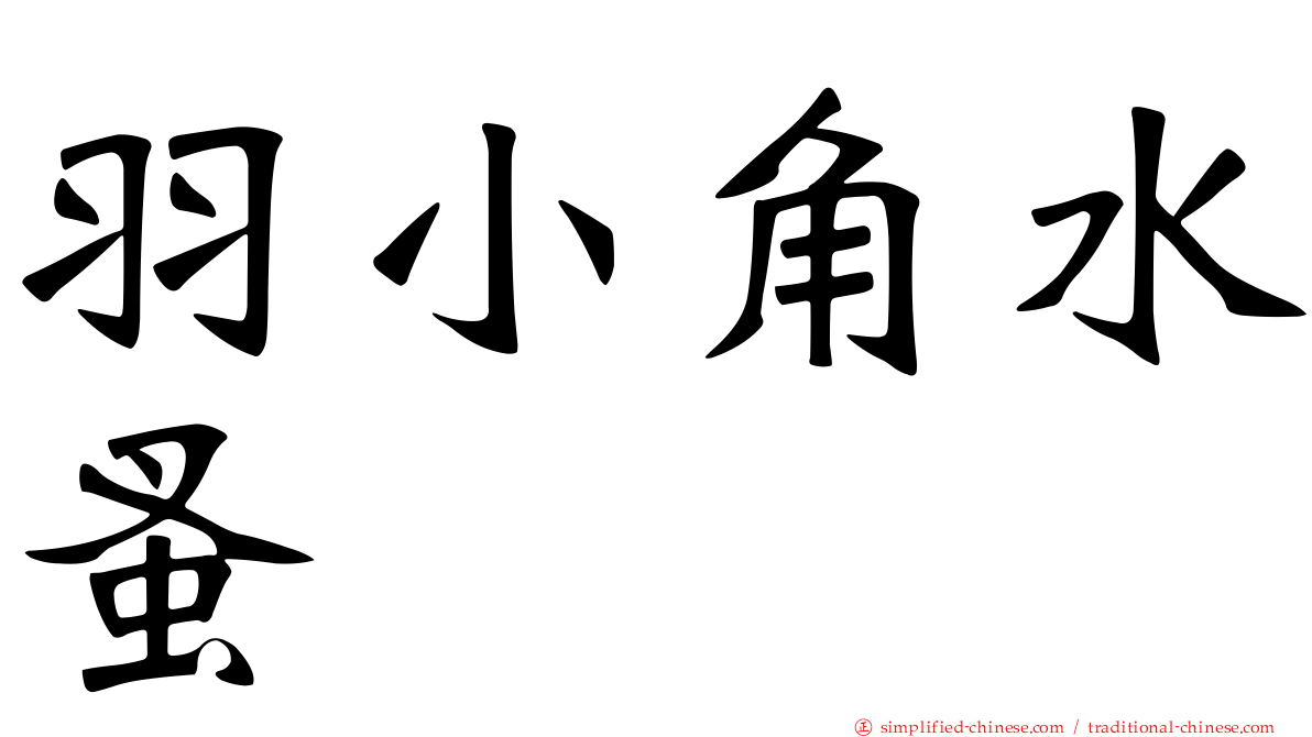 羽小角水蚤