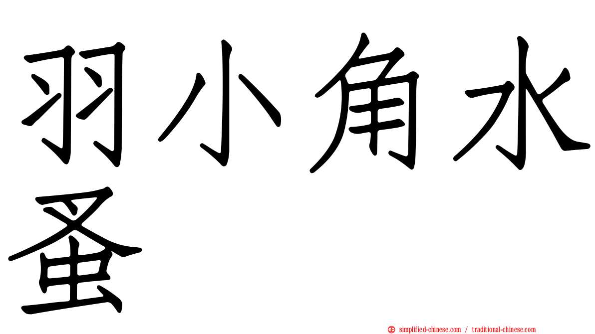 羽小角水蚤