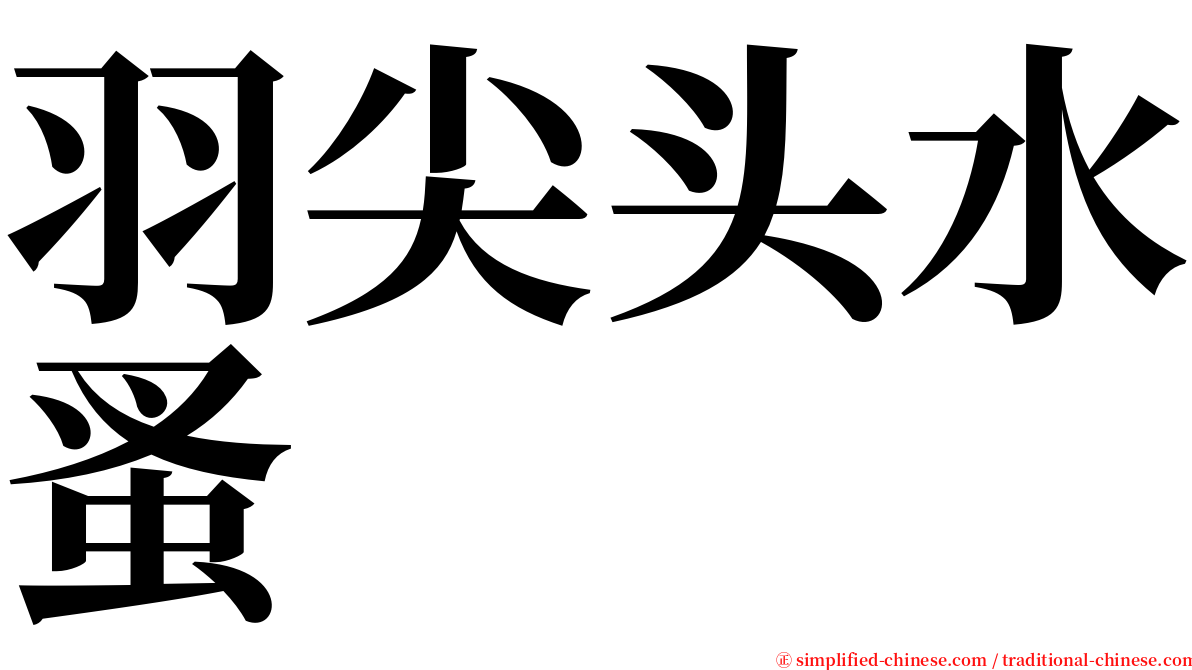 羽尖头水蚤 serif font