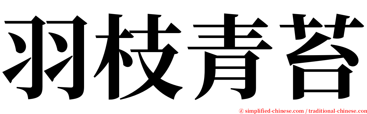 羽枝青苔 serif font