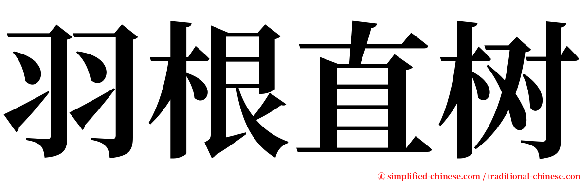 羽根直树 serif font