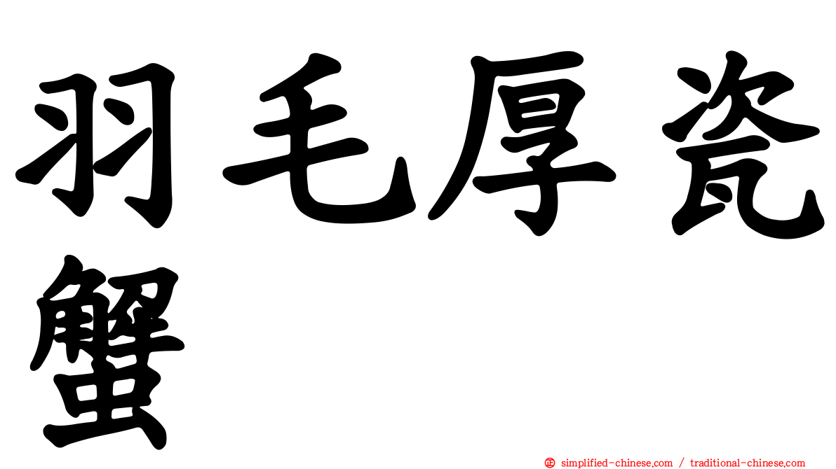 羽毛厚瓷蟹