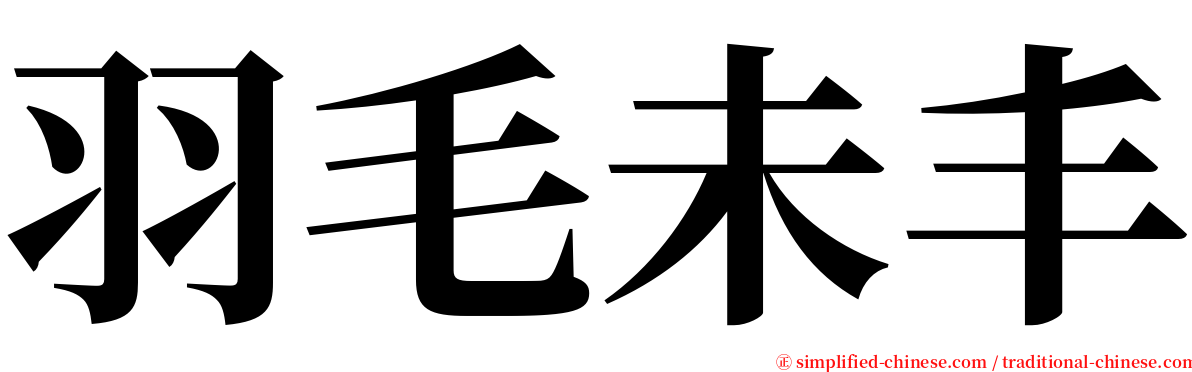 羽毛未丰 serif font