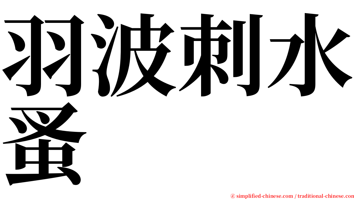 羽波刺水蚤 serif font