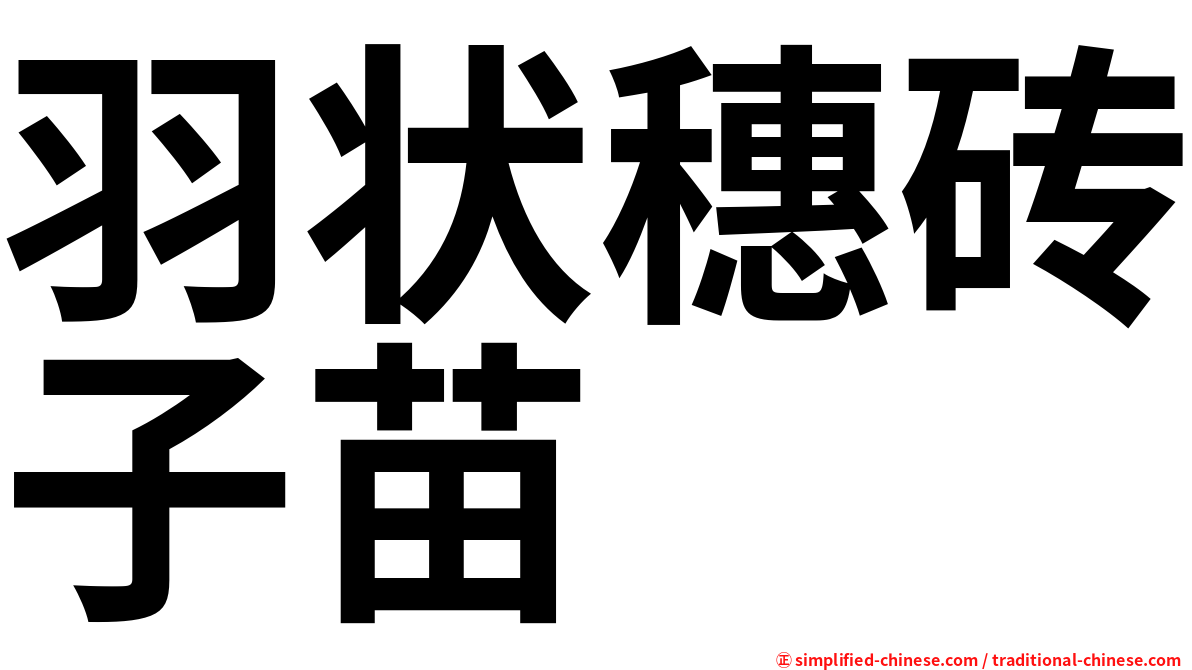 羽状穗砖子苗