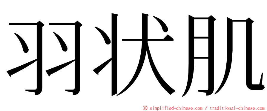 羽状肌 ming font