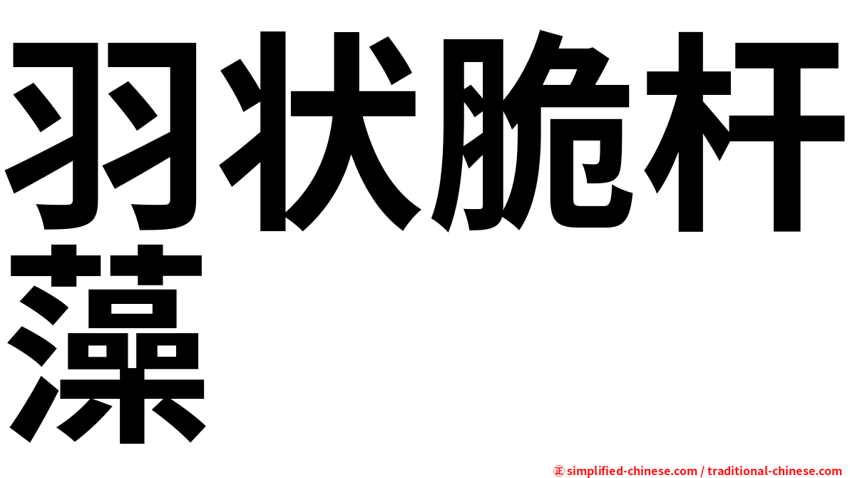 羽状脆杆藻