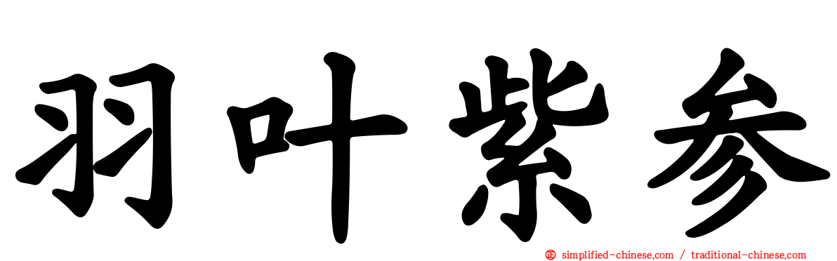 羽叶紫参