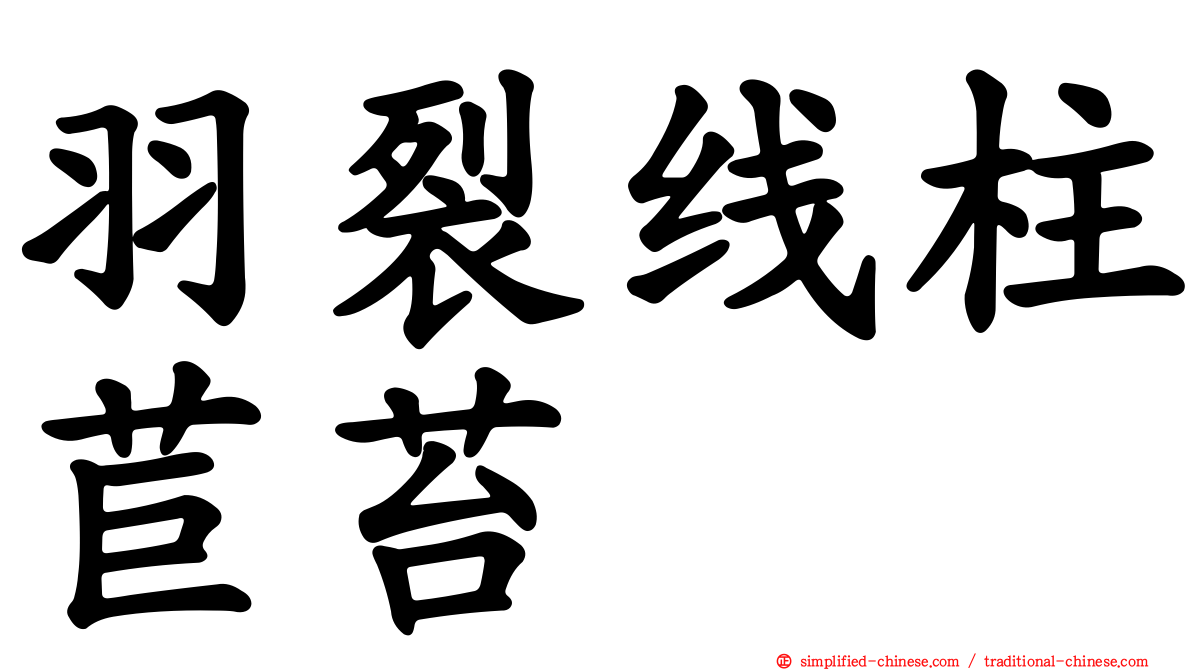 羽裂线柱苣苔