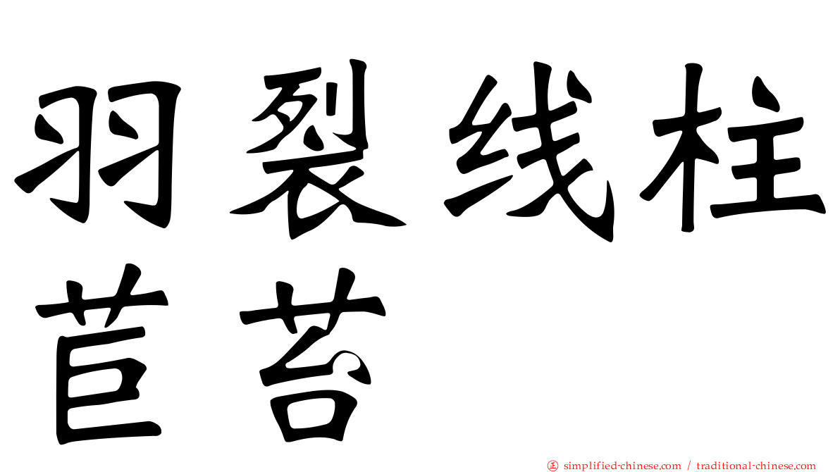 羽裂线柱苣苔