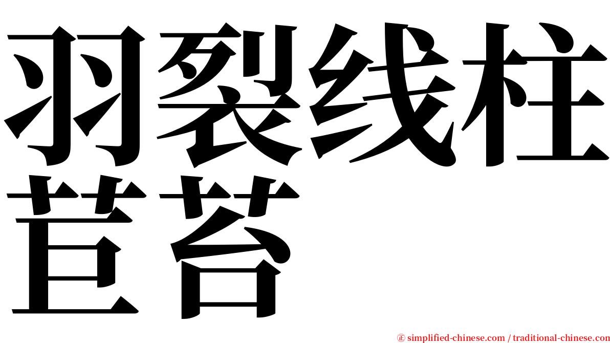 羽裂线柱苣苔 serif font