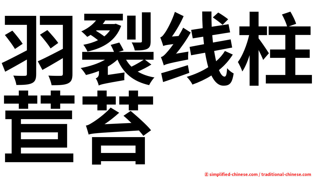 羽裂线柱苣苔
