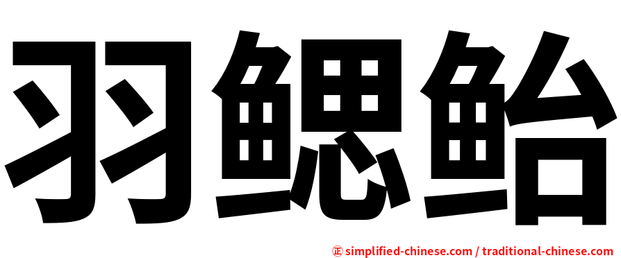 羽鳃鲐