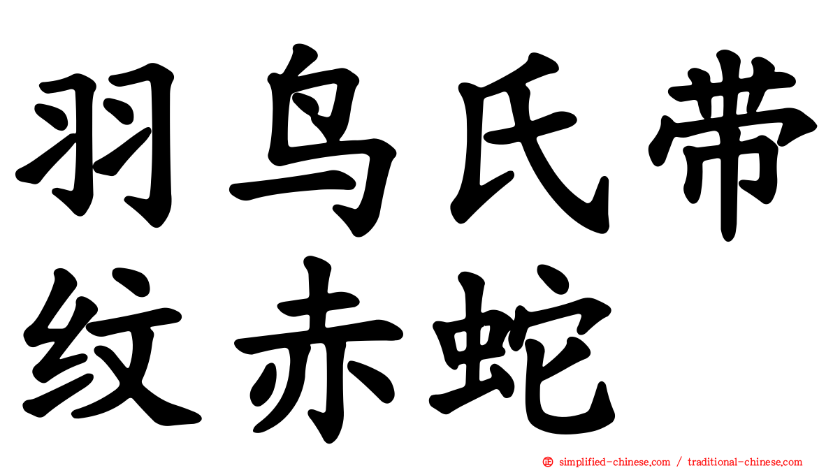 羽鸟氏带纹赤蛇