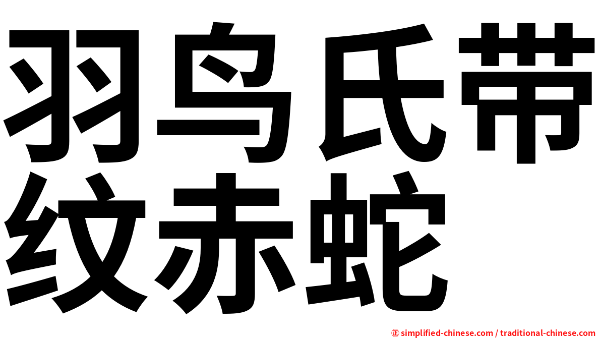 羽鸟氏带纹赤蛇